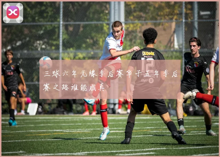 三球六年无缘季后赛华子五年季后赛之路谁能成真