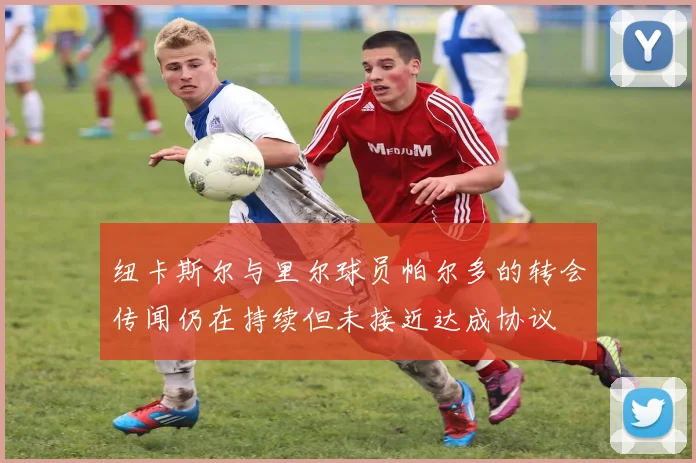 纽卡斯尔与里尔球员帕尔多的转会传闻仍在持续但未接近达成协议